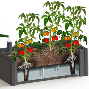 Rasied bed with GrowWater