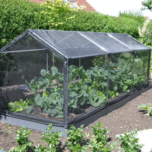 Tunnel to raised beds GrowCamp